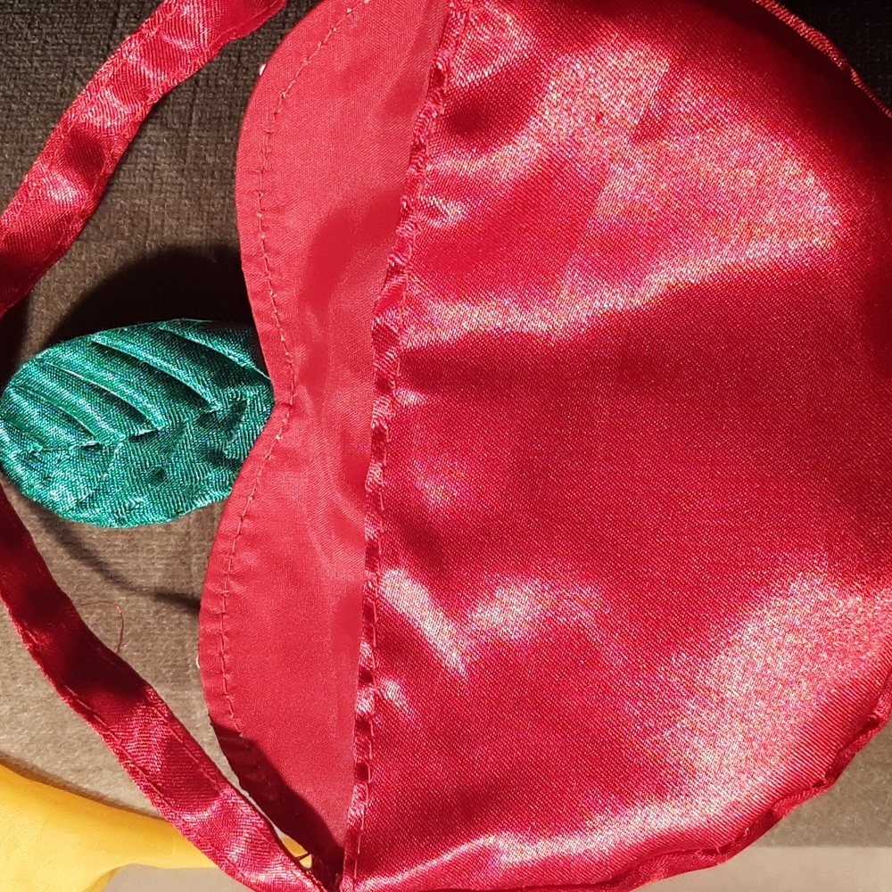 Disney Snow White Kids Costume - Blue, Red, and Yellow And Matching Purse - Picture 11 of 12